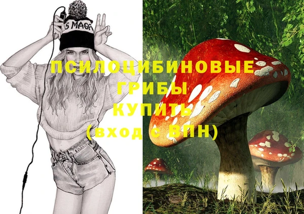 твердый Алексеевка