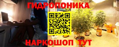 Альфа ПВП Донецк