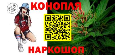 МДПВ Дубна