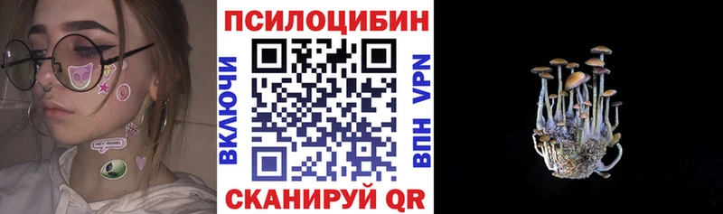 мега онион что такое наркотик Санкт-Петербург Галлюциногенные грибы мухоморы