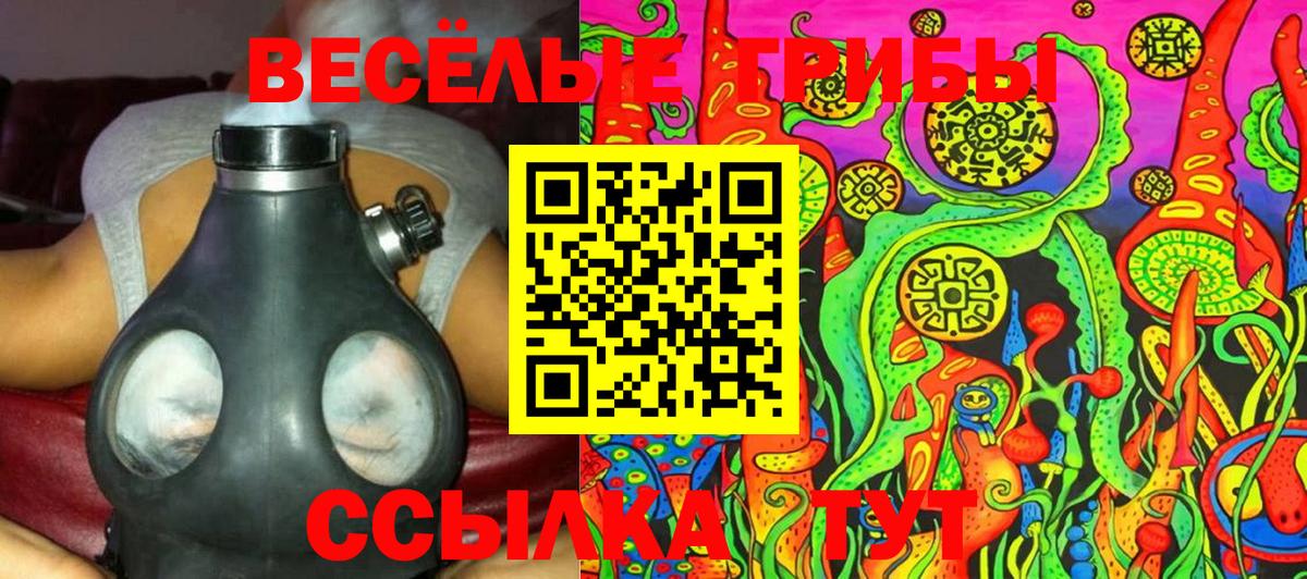 Галлюциногенные грибы GOLDEN TEACHER Санкт-Петербург